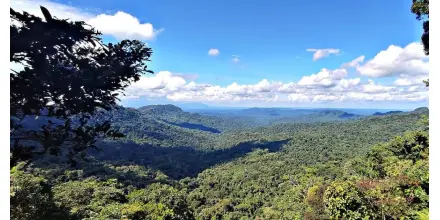 Ambiente oficializa corredor ecológico entre Llanganates y Yasuní para fortalecer la conectividad andino-amazónica