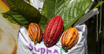 Productores de cacao de Ecuador exigen pagos justos