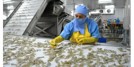 Petróleo caro eleva costos para exportadores y sectores productivos en Ecuador