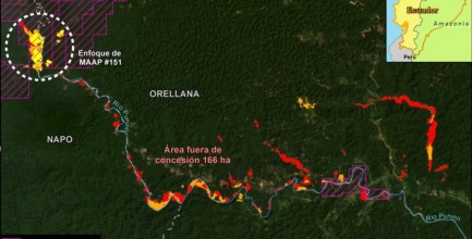 La minería ilegal avanza rápidamente en río Punino 