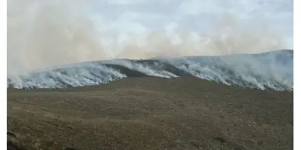 Incendio consumió mil hectáreas del Parque Nacional Cotacachi Cayapa