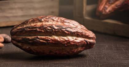 El cacao bajó a $ 9.509 por tonelada 