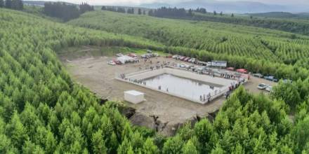 Exportaciones forestales de Ecuador alcanzan cifra récord en 2025 y crecen más del 13%