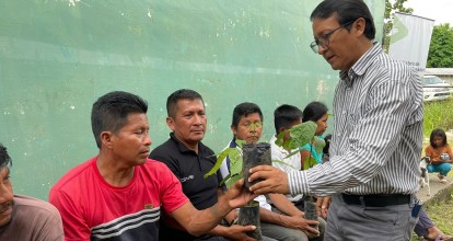 Plantas forestales, frutales y medicinales se producen en vivero comunitario en Misahuallí