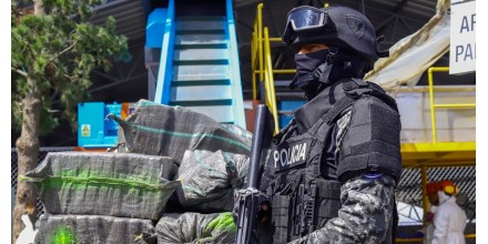 32 toneladas de drogas, cifra récord, fueron destruidas en enero