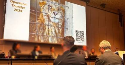 Interpol arrestó a 365 personas por tráfico de animales y plantas 