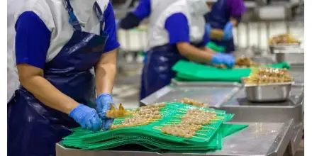 Camarón con valor agregado gana espacio en la estrategia exportadora de Ecuador