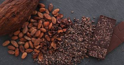 El precio del cacao ha disminuido 30 %  