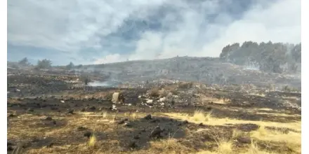 Perú extinguió 9 incendios forestales que afectaron más de 900 hectáreas
