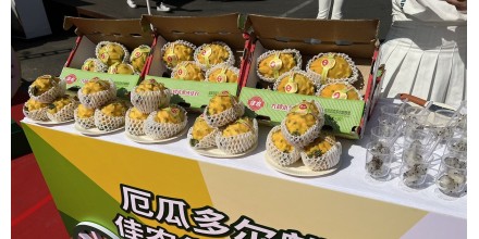 Pitahaya ecuatoriana se expende en mercados y ferias de China