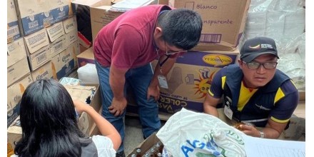 Orellana: 4.200 bebidas alcohólicas irregulares fueron halladas