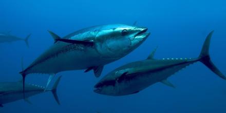 Principales noticias de Ecuador hoy - 19 de febrero de 2026