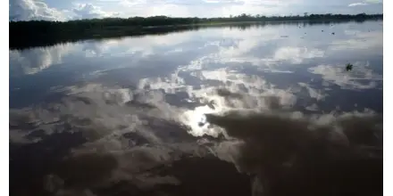 Derrame de petróleo en la Amazonía peruana activa alerta ambiental en zona de difícil acceso