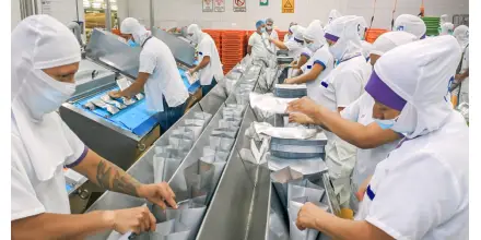 Exportaciones atuneras de Ecuador alcanzan récord en 2025 impulsadas por Europa