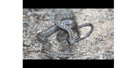 Inicia proyecto de restauración ecológica en Galápagos
