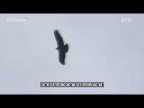 Más de medio millar de personas se unen para limpiar el lago natural más grande de Ecuador
