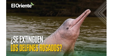 Noticias de Ecuador hoy. Podcast Noti Oriente [29 de junio de 2026]