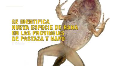 Noticias de Ecuador. Noticiero Noti Oriente [29 de diciembre de 2025]