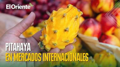 Noticias de Ecuador. Podcast Noti Oriente [24 de diciembre de 2025]