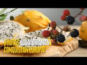 Noticias de Ecuador. Podcast Noti Oriente [16 de mayo de 2025] 
