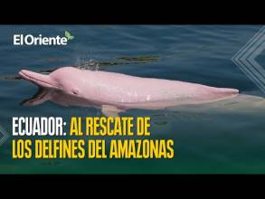 Noticias de Ecuador. Podcast Noti Oriente [2 de mayo de 2025]