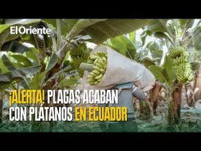 Noticias de Ecuador. Podcast Noti Oriente [20 de junio de 2025]