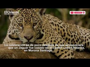Noticias Ecuador. Noticiero El Oriente 03-12-2021