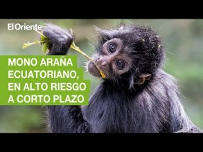 Noticias Ecuador. Podcast Noti Oriente 20-01-2023