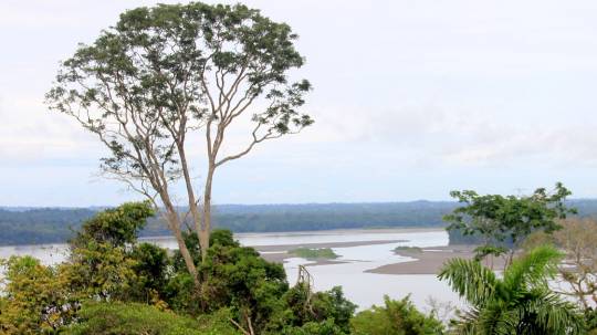 Abogados corruptos se inventaron un pueblo indígena, ‘los sansahuaris’, y mintieron sobre la desaparición de otro, los tetetes, como parte de su fraude contra Chevron en Ecuador./ Foto: cortesía
