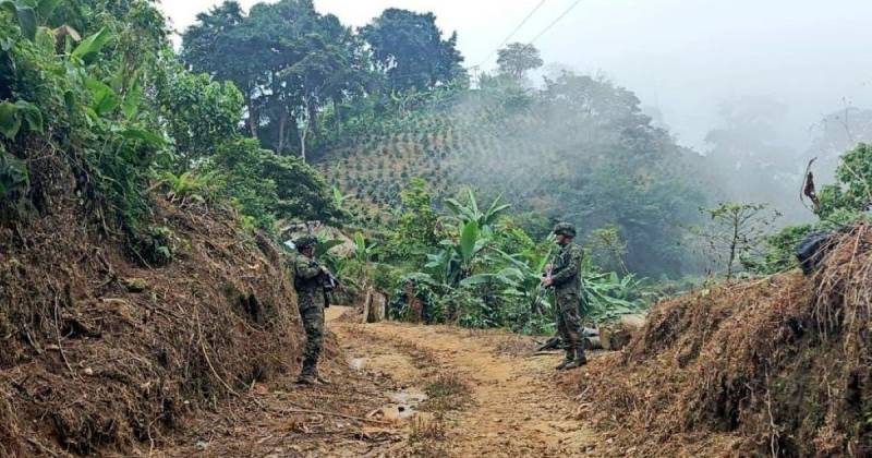 Las operaciones las realizó la Dirección de Carabineros y Protección Ambiental / Foto: cortesía Ejército colombiano