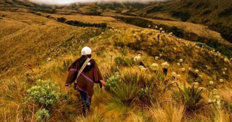 El valor inicial del 'token' será de 7,77 dólares / Foto: cortesía Urku