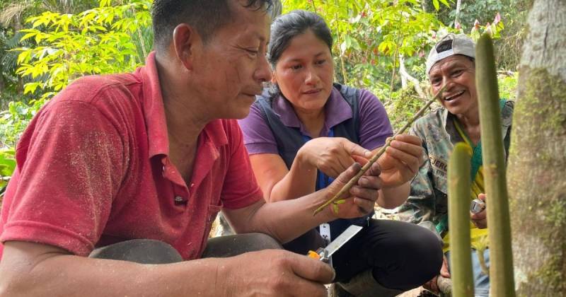 Los productores de la comunidad Wambula participaron en el taller / Foto: cortesía MAGP