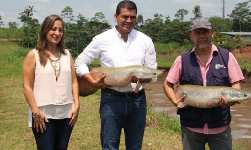Foto: El Comercio
