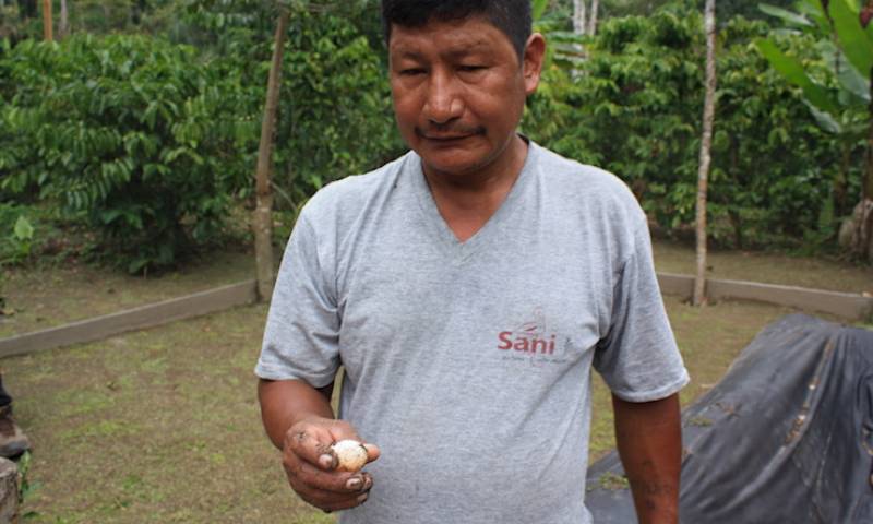 Foto: Mongabay