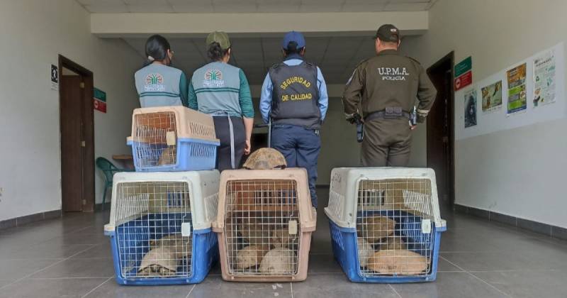 La intervención fue realizada por personal del Ministerio del Ambiente, Agua y Transición Ecológica / Foto: cortesía MAATE