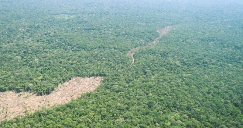 En el parque Chiribiquete se documentaron más de 500 hectáreas deforestadas / Foto: cortesía MAAP