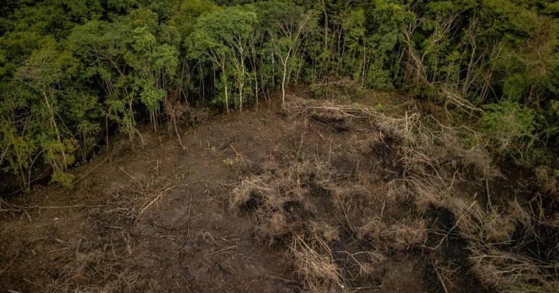 La red integraba funcionarios y exfuncionarios de la CDA / Foto: cortesía WWF Colombia