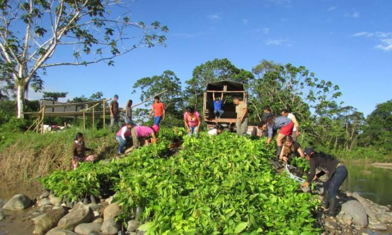 Foto: Expreso