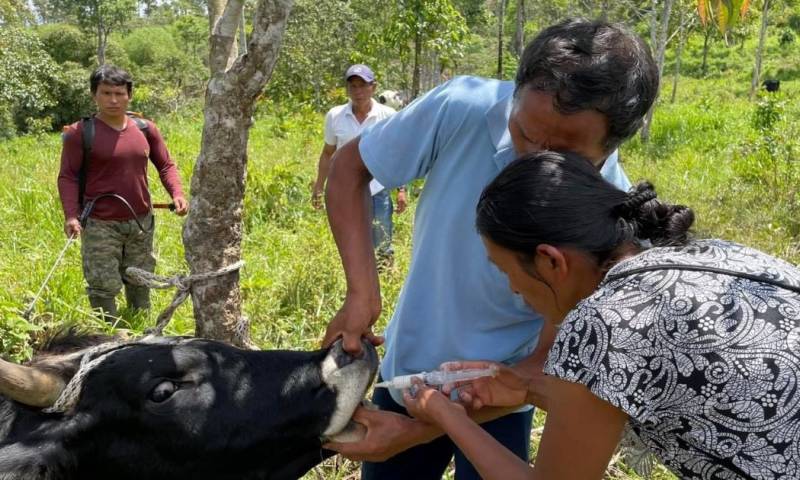 Las capacitaciones estuieron basadas en la conservación y en una producción ganadera sostenible y libre de deforestación / Foto: cortesía ministerio de Agricultura