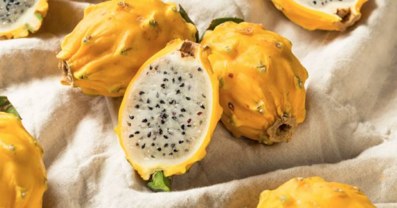 Perú comenzó a adquirir pitahaya ecuatoriana desde 2022 / Foto: cortesía