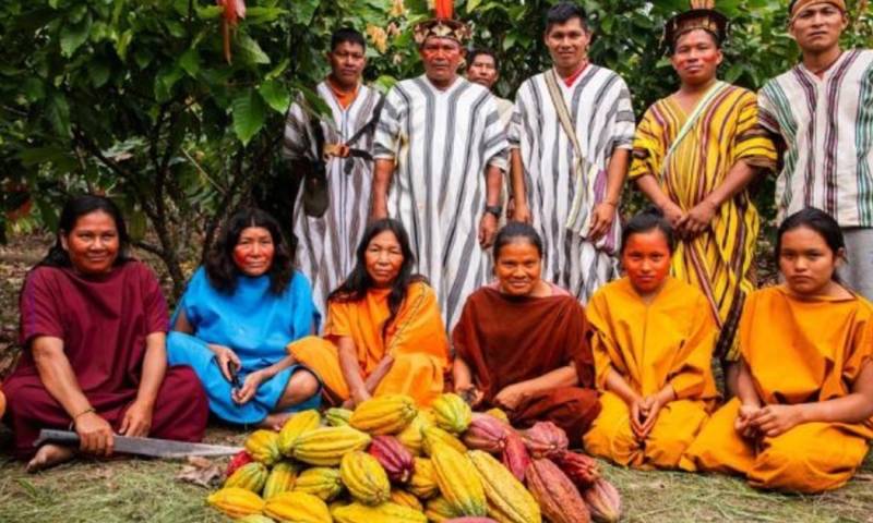 Los productos de café y cacao representan una fuente esencial de ingresos para agricultores / Foto: cortesía
