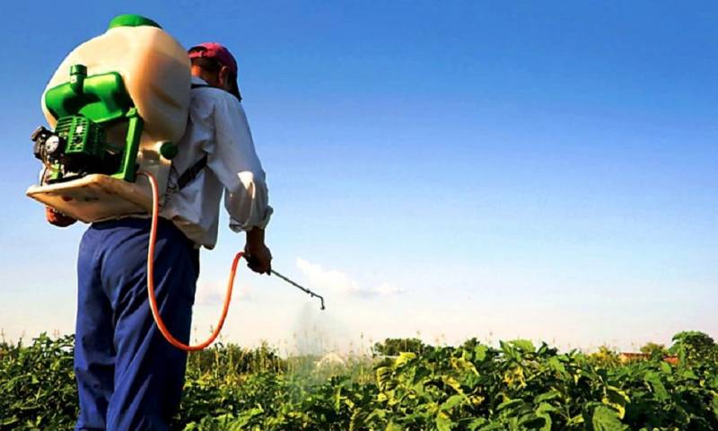 Durante los talleres también se compartió información sobre los equipos de protección personal adecuados a la hora de utilizar plaguicidas / Foto: cortesía