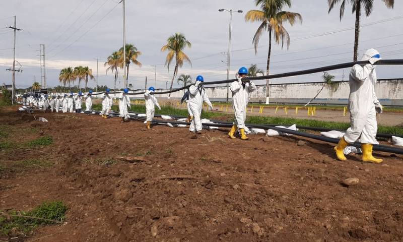 Obra de soterramiento de cables eléctricos se entregó en tres comunidades de Shushufindi / Foto: cortesía Petroecuador