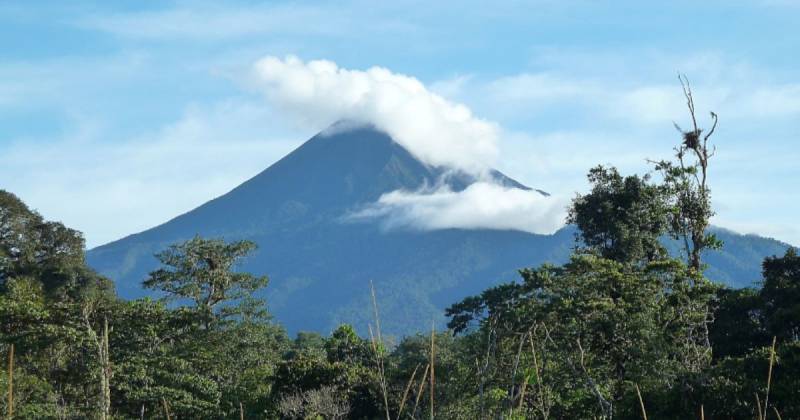 Principales noticias de Ecuador hoy - 1 de Mayo de 2025 / Foto: cortesía MAATE