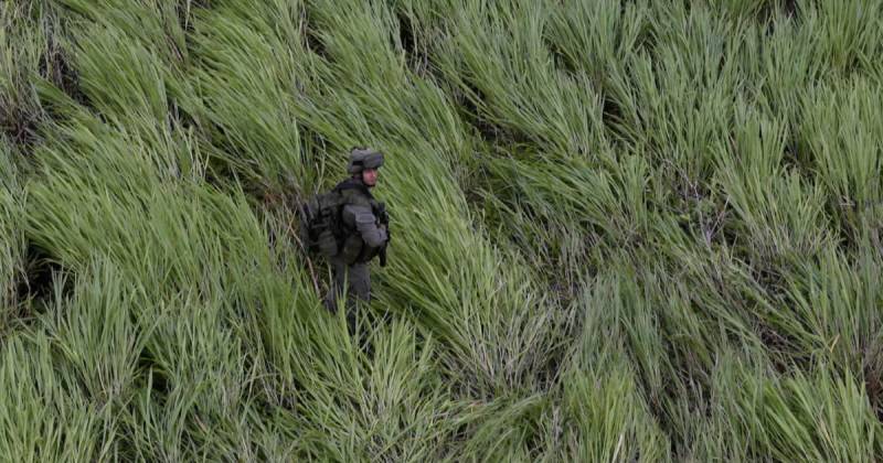 Un bombardeo en la selva colombiana del Guaviare mató a 19 guerrilleros, entre ellos siete menores reclutados / Foto: cortesía El País