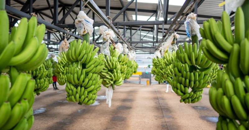 Principales noticias de Ecuador hoy - 20 de Junio de 2025 / Foto: cortesía Forbes Ec