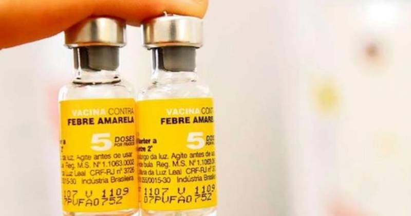 En América el riesgo de ocurrencia de nuevos brotes de fiebre amarilla de diversa magnitud "es alto" / Foto: cortesía