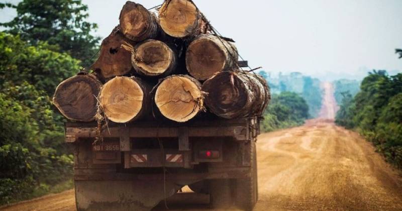 El vehículo no contaba con los permisos correspondientes y habría acelerado deliberadamente, embistiendo al comunero / Foto: cortesía