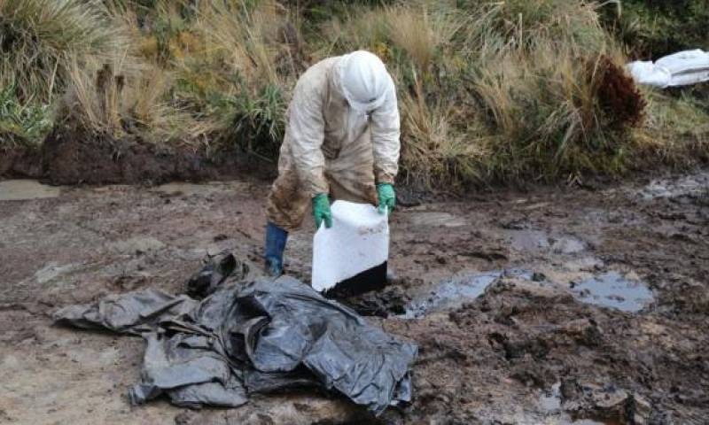 En un sector del Parque Nacional Cayambe Coca se detectó un derrame de petróleo, ocasionado por una tubería clandestina que transporta el crudo. Foto: EL COMERCIO