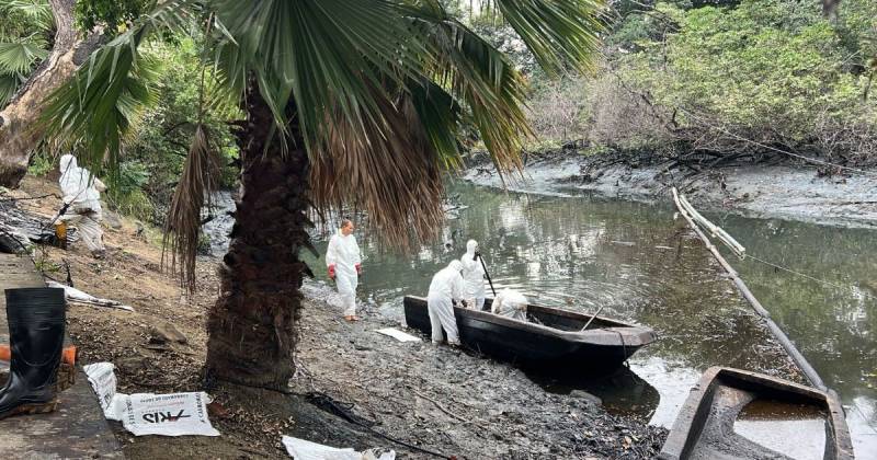 Las labores de limpieza y desintoxicación se llevaron a cabo entre varias instituciones, empresas y sectores sociales / Foto: cortesía MAATE
